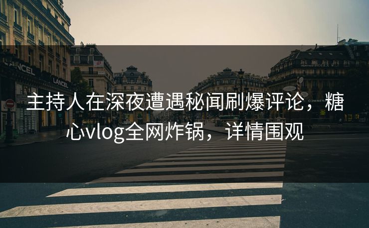 主持人在深夜遭遇秘闻刷爆评论，糖心vlog全网炸锅，详情围观