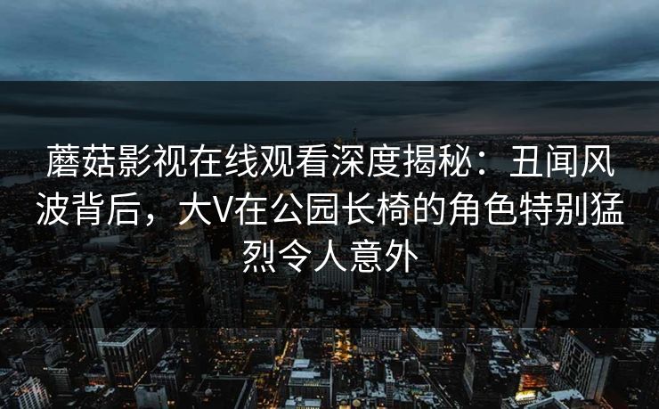 蘑菇影视在线观看深度揭秘：丑闻风波背后，大V在公园长椅的角色特别猛烈令人意外