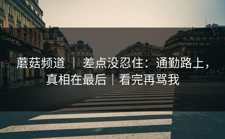 蘑菇频道 ｜ 差点没忍住：通勤路上，真相在最后｜看完再骂我